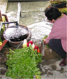 針江生水の郷イメージ